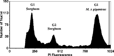 Flow cytometry of miscanthus genome size